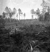 Brand i Forsbacka. Maj 1949.
