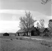 Sjuksköterskornas sommarhem. Reportage.                30 maj 1949. (Bönan, Utvalnäs?)