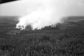 Skogsbrand Älvkarleby, Gårdskär med flera orter.       Maj 1949.