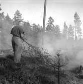 Skogsbrand i Sikvik. 23 juli 1949.