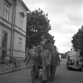 Ramberg, Södra Fiskargatan 7, Gävle. Realexamen. Maj 1949. Beställt av Olle Braide.