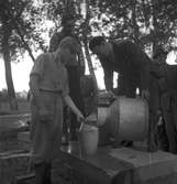 Stadsträdgården inplantering av laxyngel. Juni 1949.