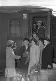 Konsum Alfas grupp vid Göteborgståg. 17 juni 1949. Beställt av fru Alma Öbrink, Norra Ringvägen 9, Gävle.