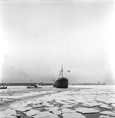Snöbelagd fartyg. Vintern 1950.