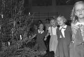 Södra skolans julfest i gymnastikhuset. December 1949.