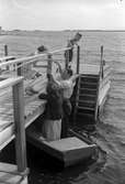 I.O.G.T. Reportage från sommarhemmet Lindesberg på Norrlandet. 10 juli 1950. Invigt juni 1940. Ägt av G.G.I.K. Godtemplarordens flagga är hissad. Lindesberg låg vid viken mellan Frivy, Lervik och Kullsand. Revs när hamnen byggdes ut.