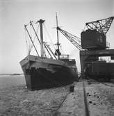 Vintertrafik i Hamnen. 6 februari 1950. Reportage för Arbetarbladet. Fartyget 