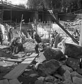 Dammbron i Stadsträdgården under arbete. 1946.