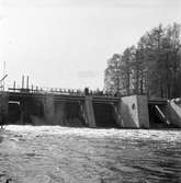 Dammbron i Stadsträdgården under arbete och färdig. Maj 1947.