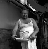 Flottbesök. 2 augusti 1946.