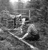 Bränslekommission skogshuggare. 18 juni 1947.
