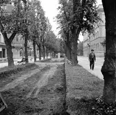 Arbete i Nygatans allé