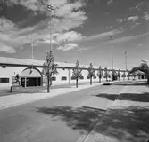 Strömvallen. Den 10 juni 1968