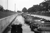 Lillån med fiskebåtar sommaren 1935
