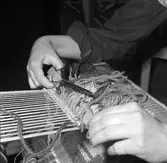 Textila tekniker vid vävstolen
