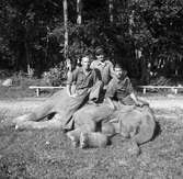 Furuvik, tre sitter på en liggande elefant