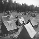 Tältläger för ungdom i Furuvik.