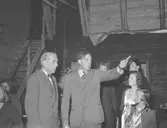 Furuvik. Teater-Cirkus