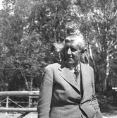 En räv bakom örat.