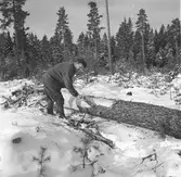 Skogsbruk i Hemsta.  Korsnäsverken har sedan länge beaktat att arbetsresultaten i mycket hög grad beror på trivseln i hemmen. Bolaget har från början succesivt höjt bostadsstandarden för sina anställda. En del av personalen bor i egna hem som uppförts med subvention från bolaget