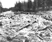 Timmer och massaved förs av vårfloden utför bivattendragen ned till Dalälven. Den 9 juni 1950. Korsnäs AB är ett av Sveriges ledande skogsindustriföretag som tillverkar kartong, säck- och kraftpapper, fluffmassa till hygienprodukter och sågade trävaror.