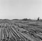 Gysinge, vid Dalälven