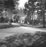 Huvudkontoret. Korsnäs AB. Den 9 augusti 1956.