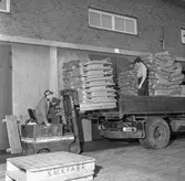 Pappersmagasinet. Korsnäs AB. Den 28 september 1956. Pappersbruket.
