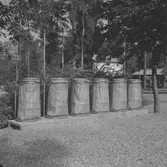 Sex soptunnor med sopsäckar från Korsnäs AB. Den 8 juni 1961
