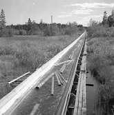Sista delen av flottningen sker i Korsnäs egen, tre mil långa flottled, som består av en 22 km grävd kanal och en 8 km lång träränna. År 1961

