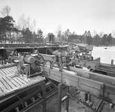 Sågverket. Korsnäs AB. År 1962.
