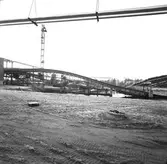 Transportbandet som ska rivas. Korsnäs AB. Den 20 november 1963
