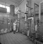 Forskningen. Korsnäs AB. Den 26 oktober 1964
