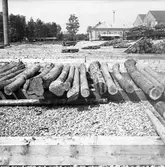 Brädgården. Beställt av ingenjör Leif Lindqvist. Korsnäs AB. Den 18 juni 1965
