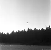 Skogsgödsling. Korsnäs AB. Den 20 junil 1967

