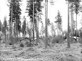 Kopparfors Bolag. Hammarby, Norrsundet och Åmot.  Den 28 juli 1944. Kopparfors grundades 1854 under namnet Kopparbergs och Hofors Sågverksbolag. Aktiebolag 1855 och Kopparfors AB från 1937.