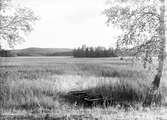 Kopparfors Bolag. Hammarby, Norrsundet och Åmot.  Den 28 juli 1944. Kopparfors grundades 1854 under namnet Kopparbergs och Hofors Sågverksbolag. Aktiebolag 1855 och Kopparfors AB från 1937.