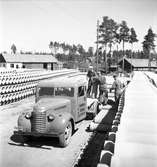 Exteriör. Skånska Cement AB, Valbo. 27 maj 1946.