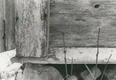 Detalj av husgrunden på en stuga i liggtimmer.