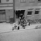 Systembolaget, motboken bort.
1 oktober 1955.