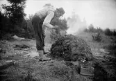 Värmland, Mangskogs socken. Tjärmila under tjärbränning.
