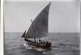 Gåva av Otto von Fieandt.
Dristigheten 1909. Spansk fiskebåt 1909, 
taget från Dristigheten