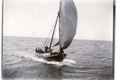 Gåva av Otto von Fieandt.
Dristigheten 1909.  Spansk fiskebåt