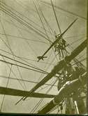 Gåva av Otto von Fieandt.
Huggande av flyhakarblocket till styrbordsida storbramledarsegelfall.
Gladan 1916