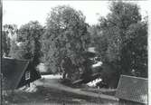 Bron vid sågdammen i Falsterbo 1920.