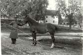 J O Andersson med häst vid Björkhults gård 1911.