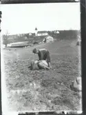 Potatisplockning på gärdet. I bakgrunden syns Hjorteds kyrka.