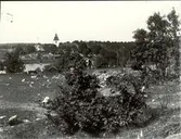 Vy över Hjorted, med fotografen Karl Ludvig Berners hem Hvilan i mitten.