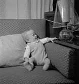 Godsägare Söderhjelms gosse, Tolvfors