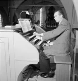 Musikdirektör G. Berg